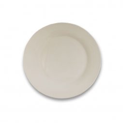Contemporary Dinner Plate