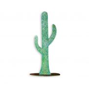 Cactus Flat