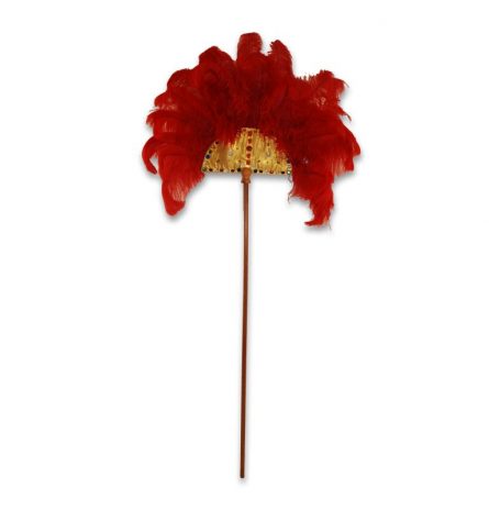 Egyptian Red Feather Wand