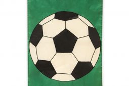 Flag Soccer