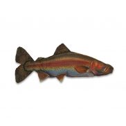 Rainbow Trout Fish Pillow