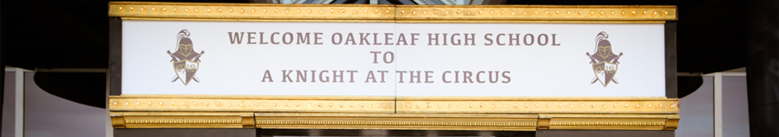 Oakleaf High School Prom 2017