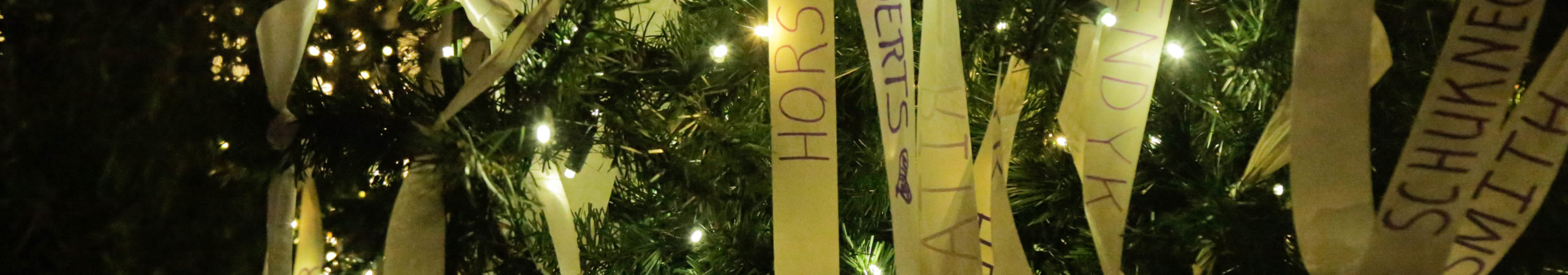 Christmas Tree Lighting at Community Hospice